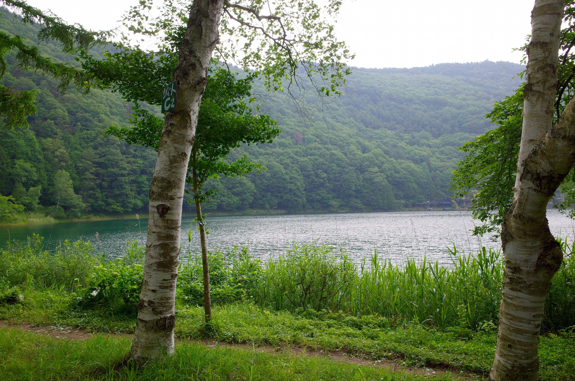 四尾連湖 水明荘キャンプ場（四季を通して行ってみたくなるキャンプ場でした）